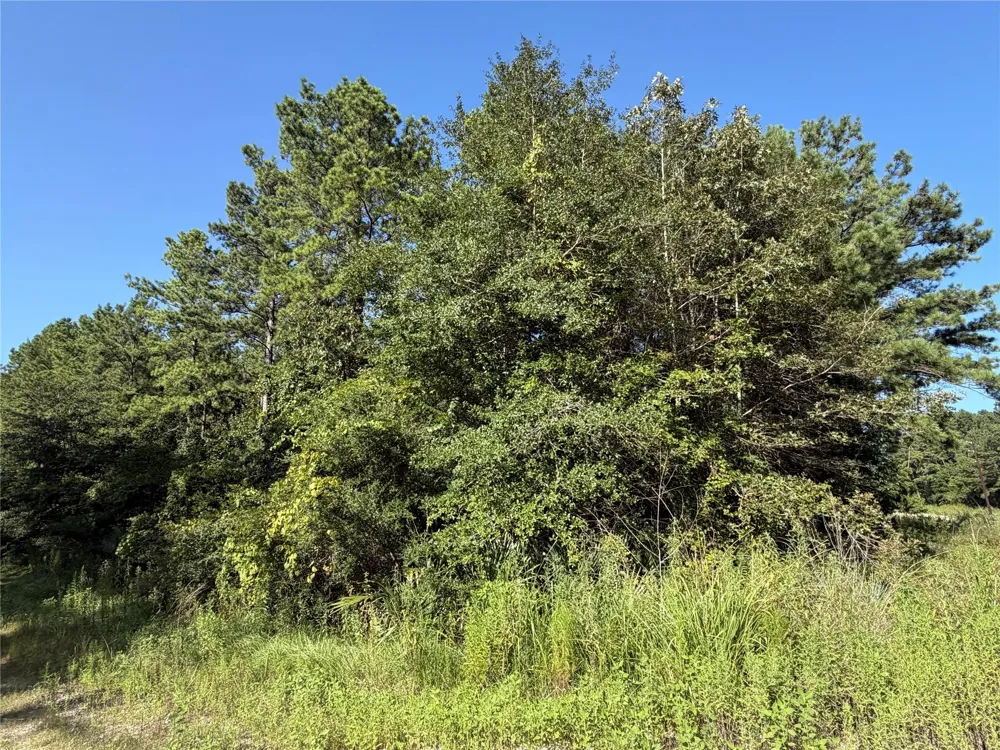 51 Black Cat Road Sour Lake, TX 77659