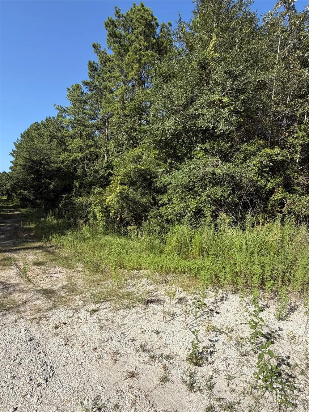 51 Black Cat Road Sour Lake, TX 77659