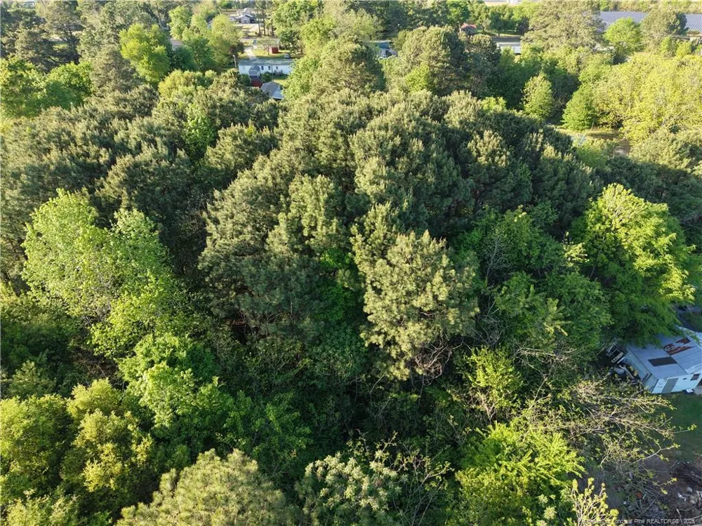 Amaziahs Farm Road Maxton, NC 28364