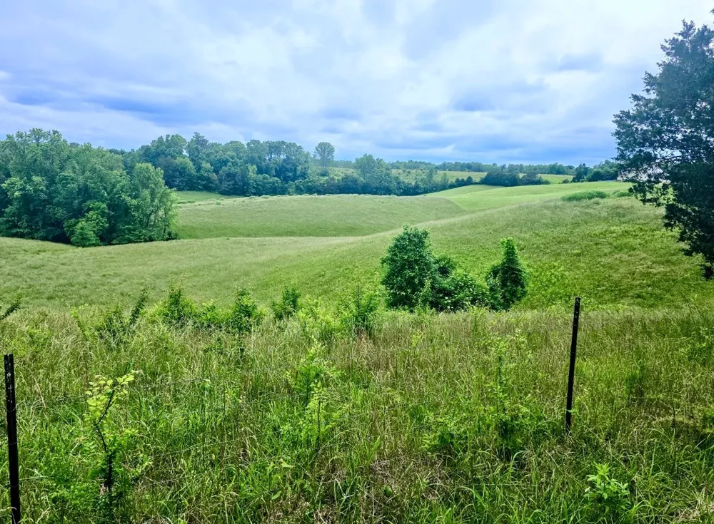 0 Allen Bend Rd Smithville, TN 37166