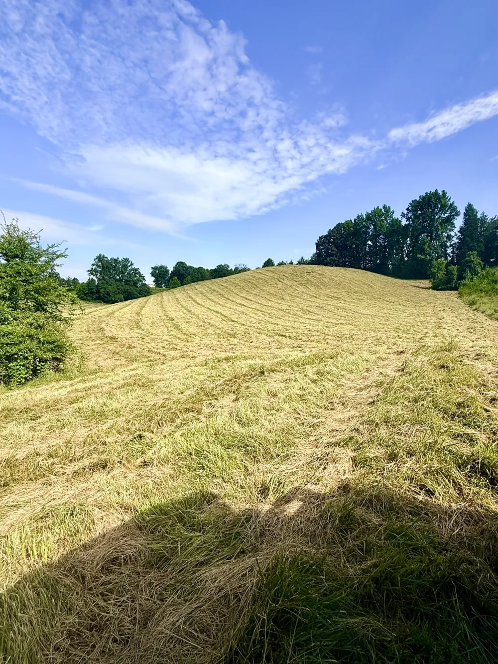 0 Allen Bend Rd Smithville, TN 37166