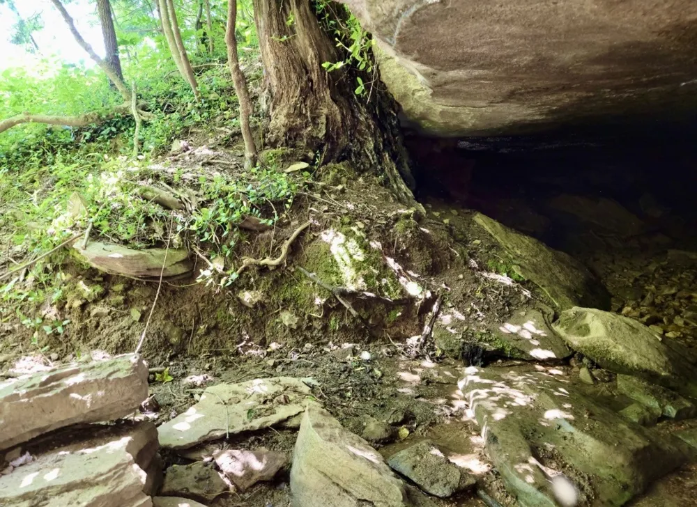 0 Allen Bend Rd Smithville, TN 37166