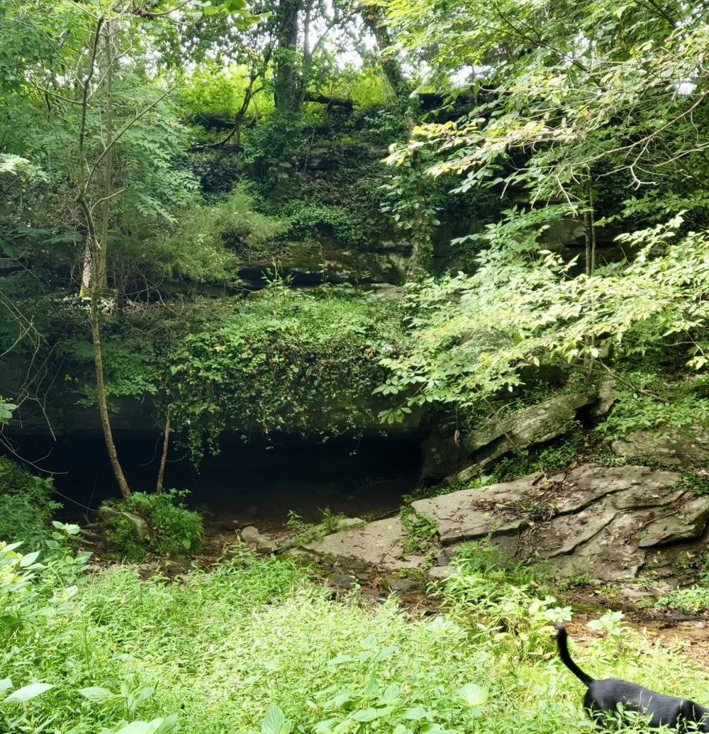 0 Allen Bend Rd Smithville, TN 37166