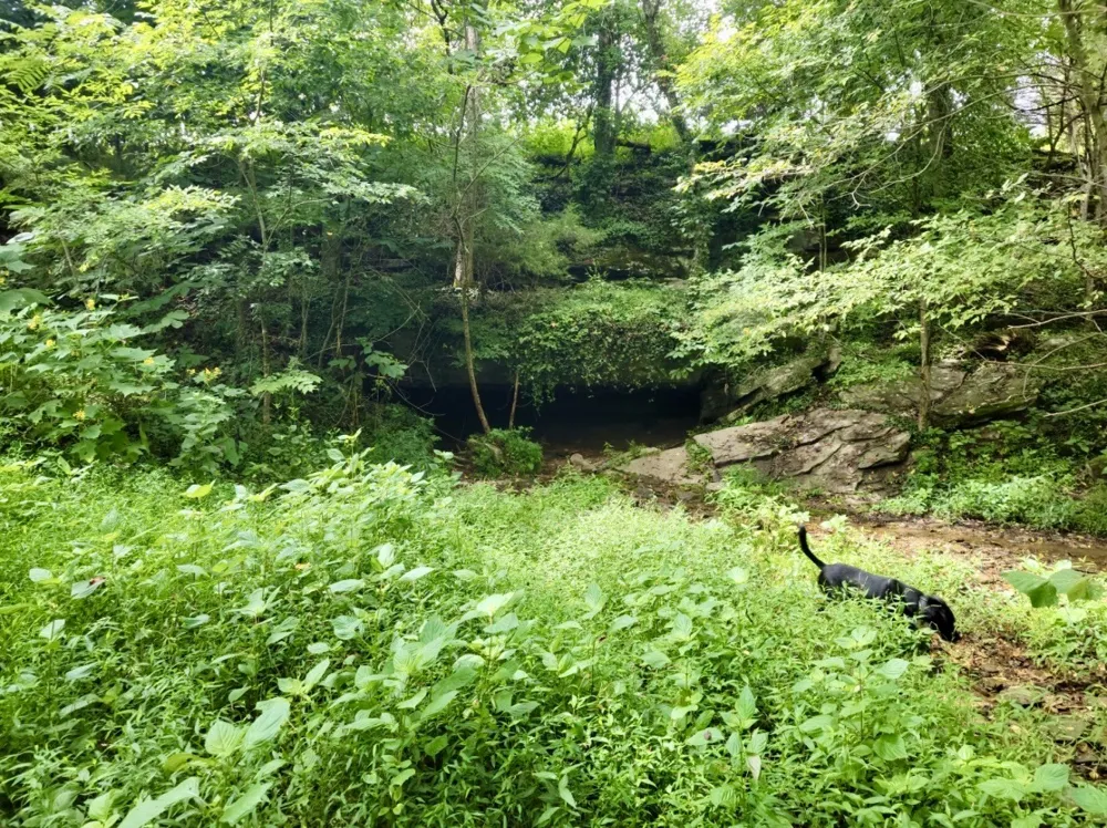 0 Allen Bend Rd Smithville, TN 37166