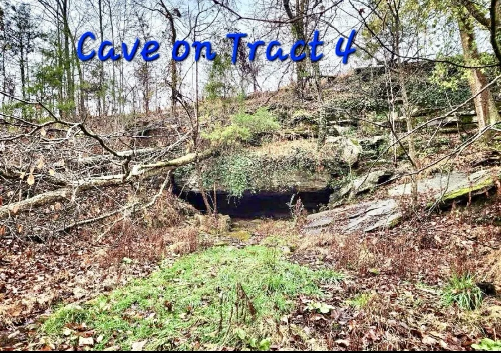 0 Allen Bend Rd Smithville, TN 37166