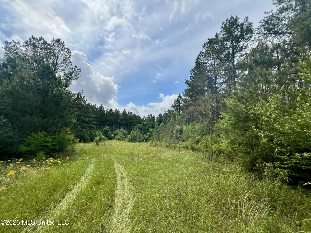 NE Highway 44 Summit, MS 39666