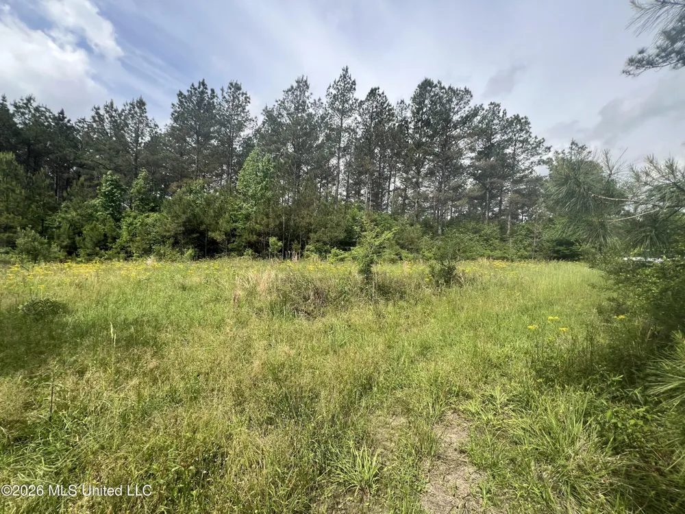 NE Highway 44 Summit, MS 39666