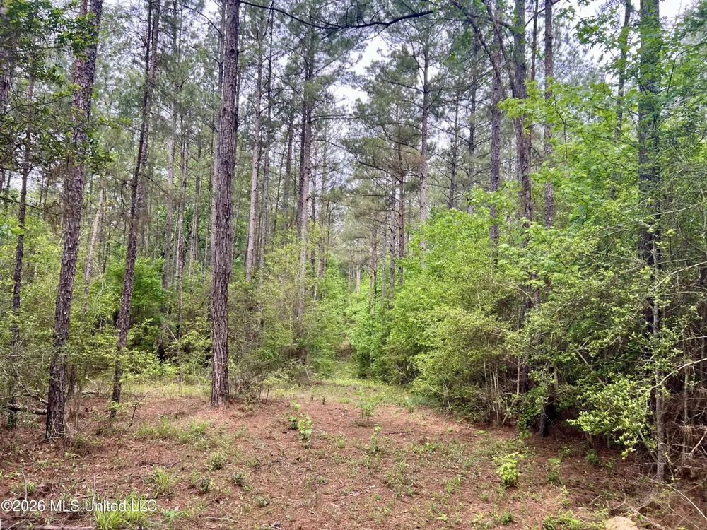 NE Highway 44 Summit, MS 39666