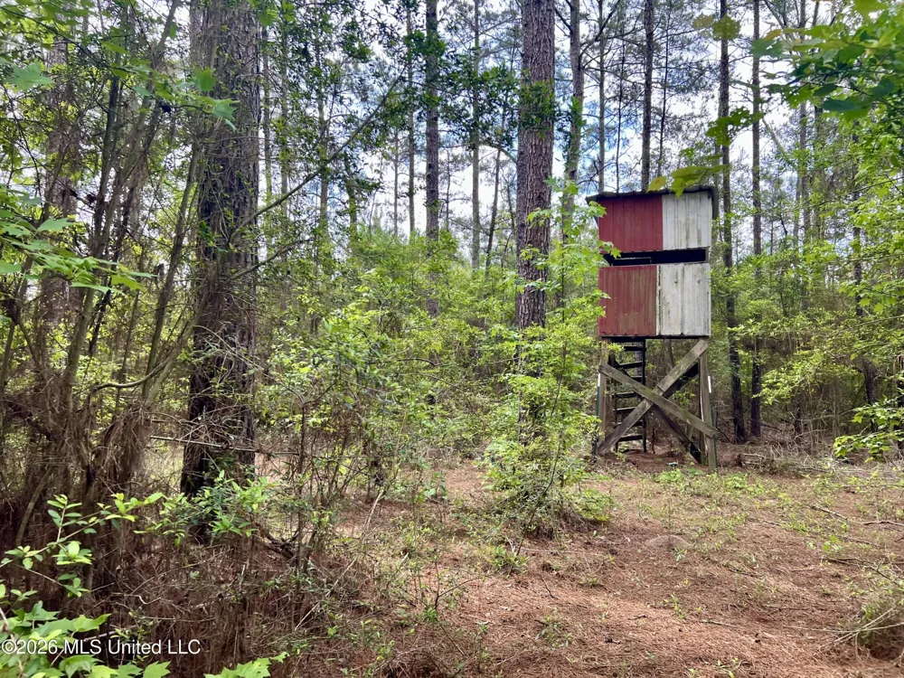 NE Highway 44 Summit, MS 39666