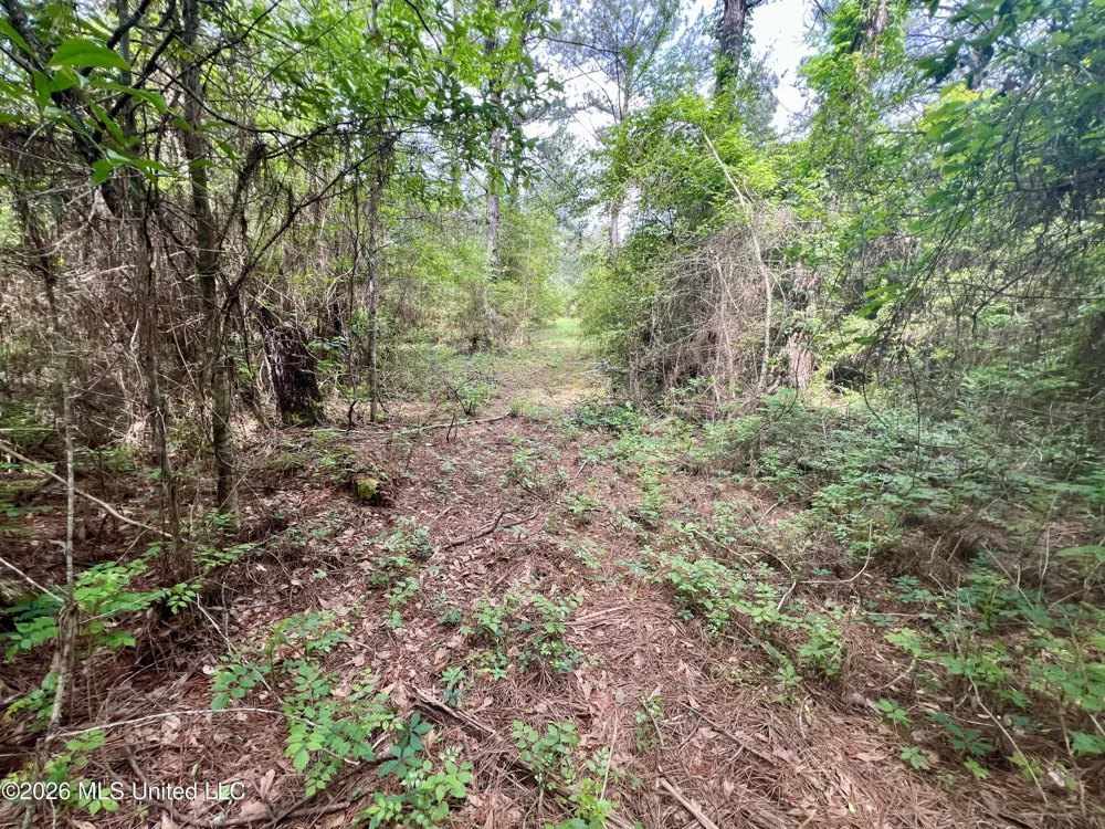 NE Highway 44 Summit, MS 39666