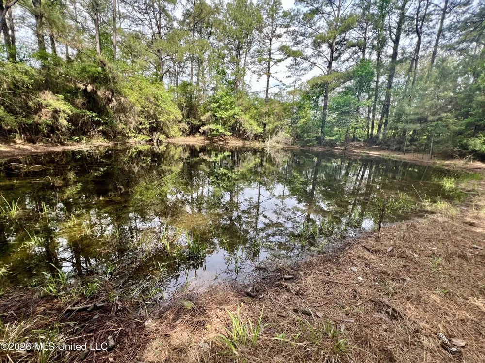 NE Highway 44 Summit, MS 39666