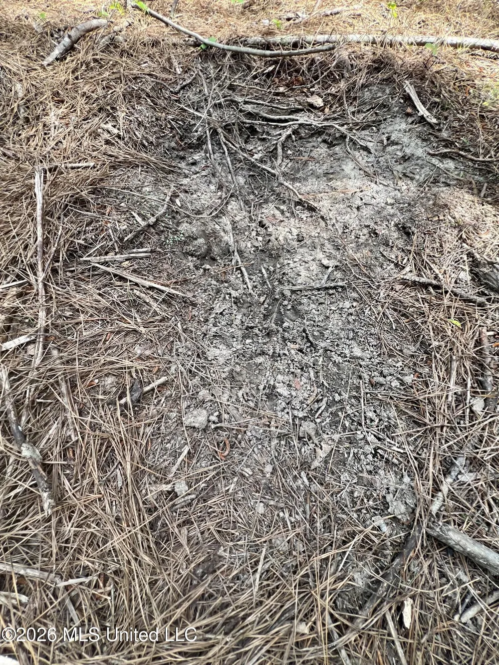 NE Highway 44 Summit, MS 39666
