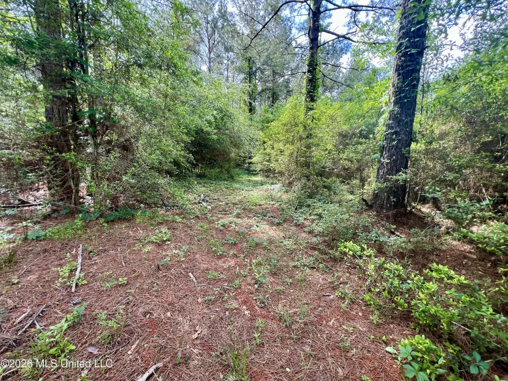 NE Highway 44 Summit, MS 39666