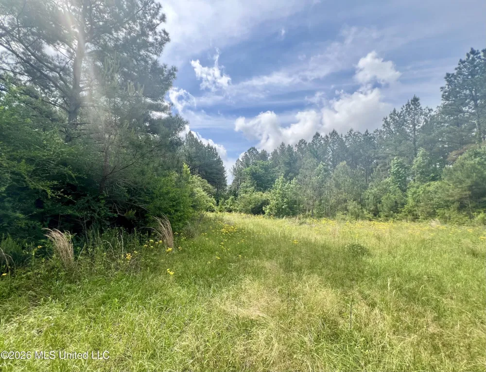 NE Highway 44 Summit, MS 39666