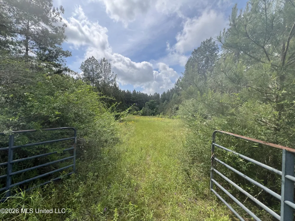 NE Highway 44 Summit, MS 39666