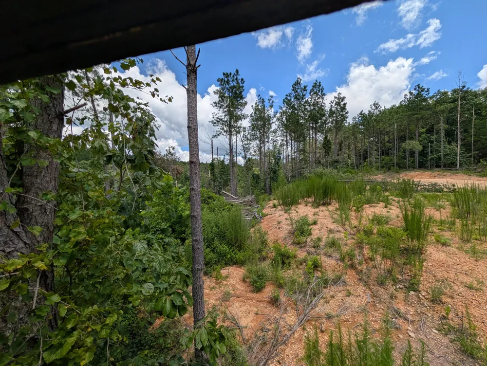 0 Old Penny Rd Linden, TN 37096