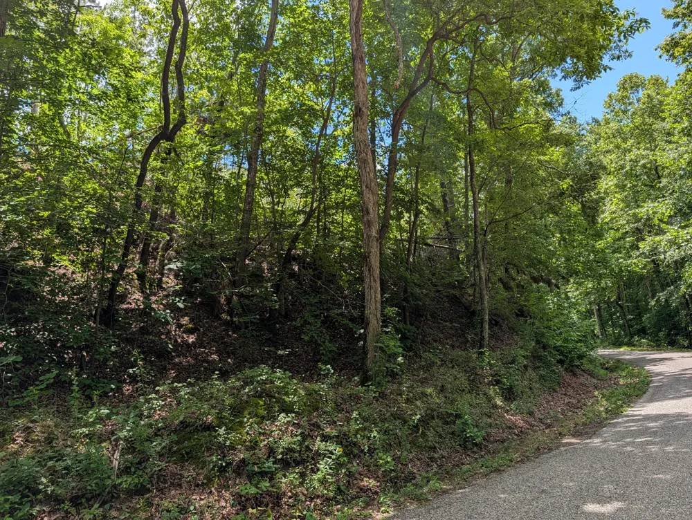 0 Old Penny Rd Linden, TN 37096