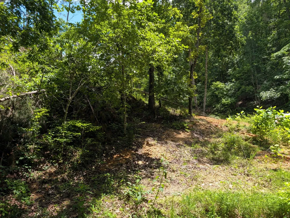 0 Old Penny Rd Linden, TN 37096