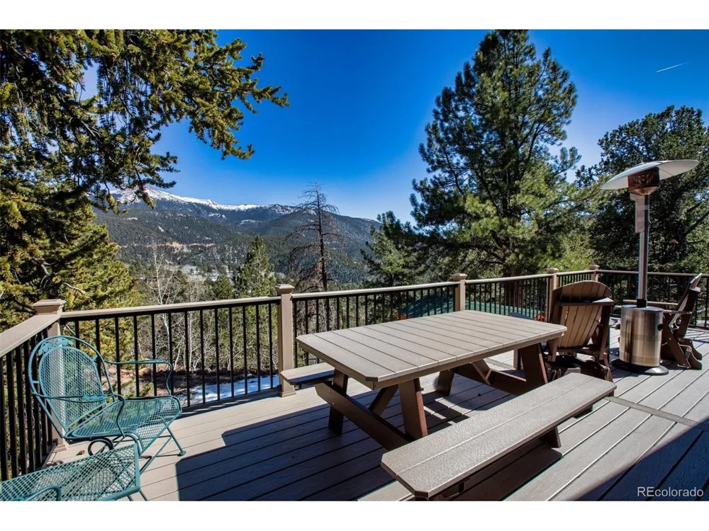 493 Horseshoe Drive Divide, CO 80814