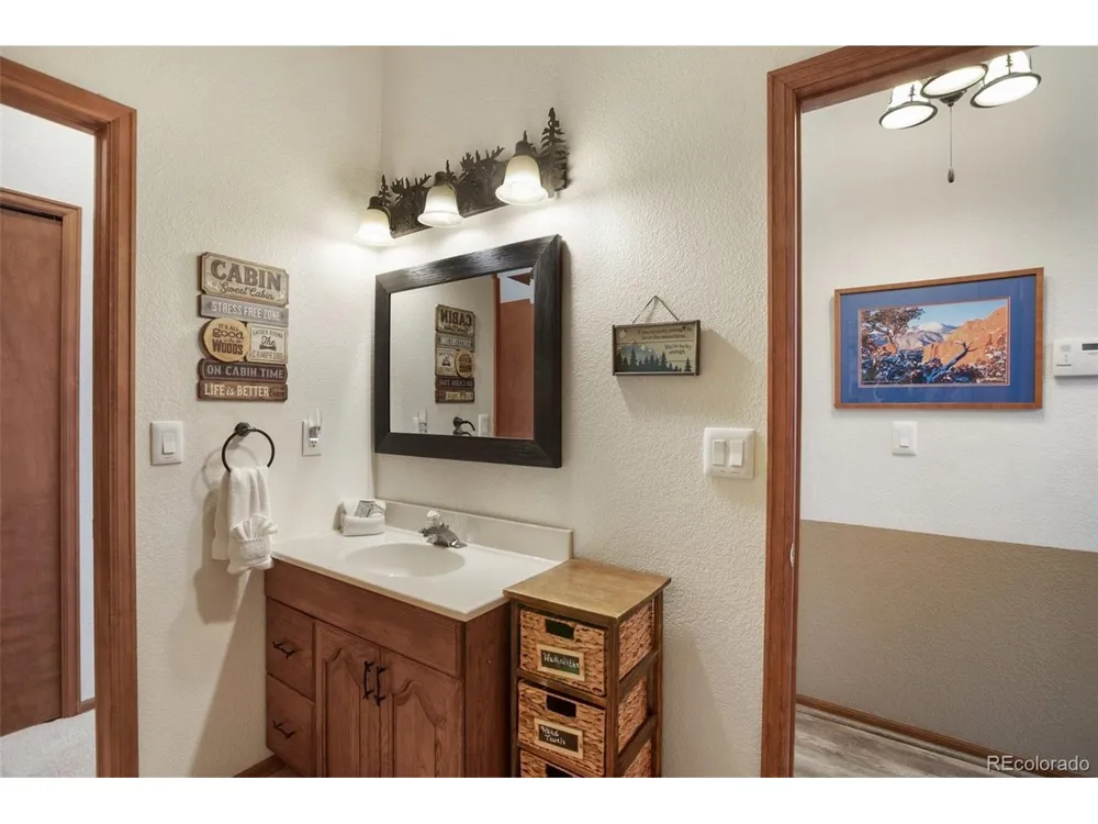 493 Horseshoe Drive Divide, CO 80814