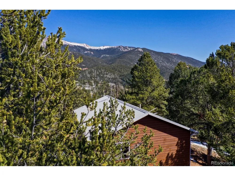 493 Horseshoe Drive Divide, CO 80814