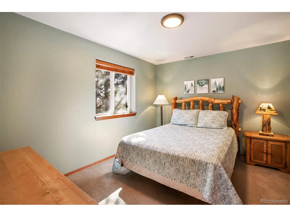 493 Horseshoe Drive Divide, CO 80814