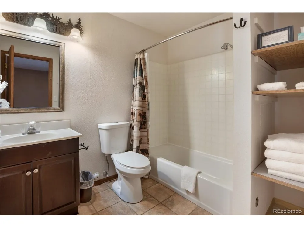 493 Horseshoe Drive Divide, CO 80814
