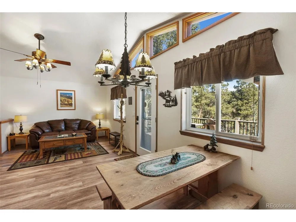 493 Horseshoe Drive Divide, CO 80814