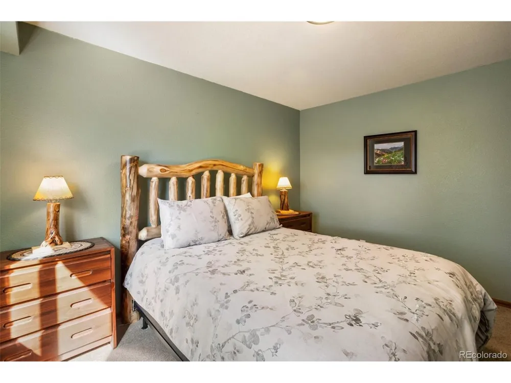 493 Horseshoe Drive Divide, CO 80814