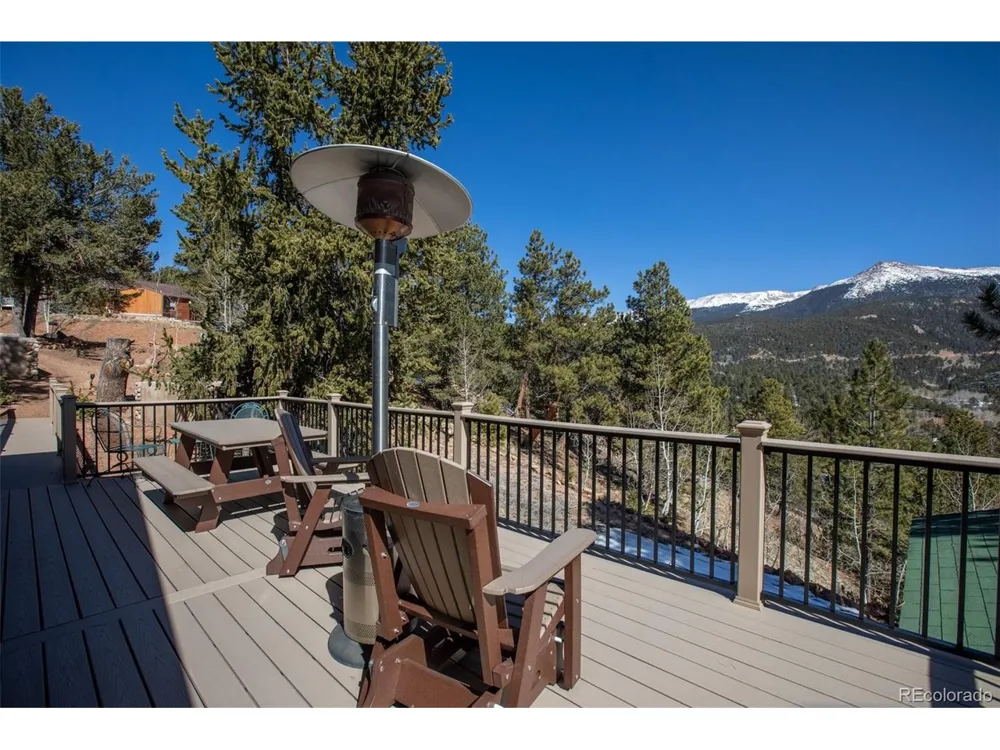 493 Horseshoe Drive Divide, CO 80814