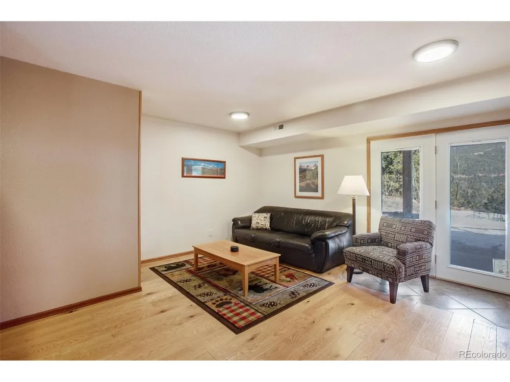 493 Horseshoe Drive Divide, CO 80814