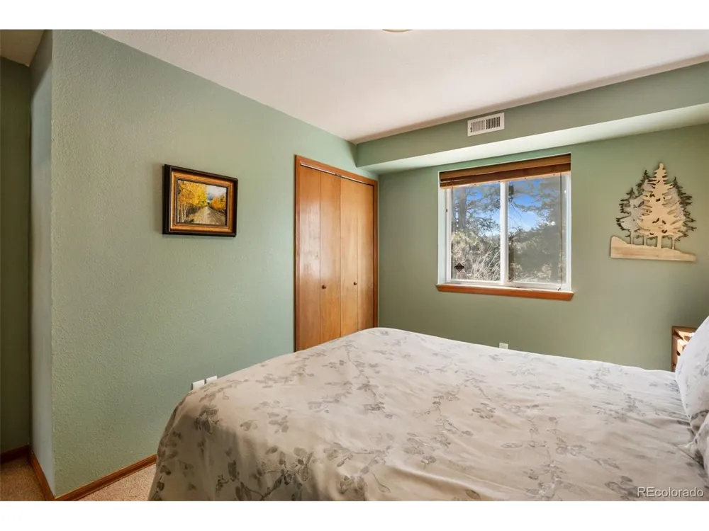 493 Horseshoe Drive Divide, CO 80814