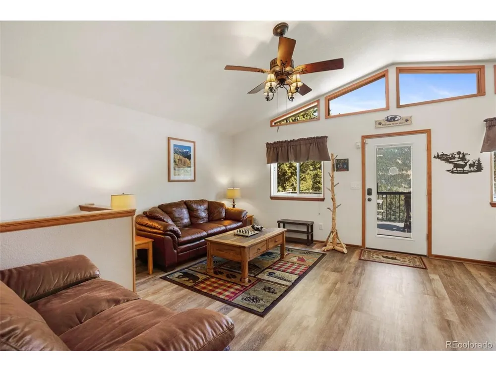 493 Horseshoe Drive Divide, CO 80814