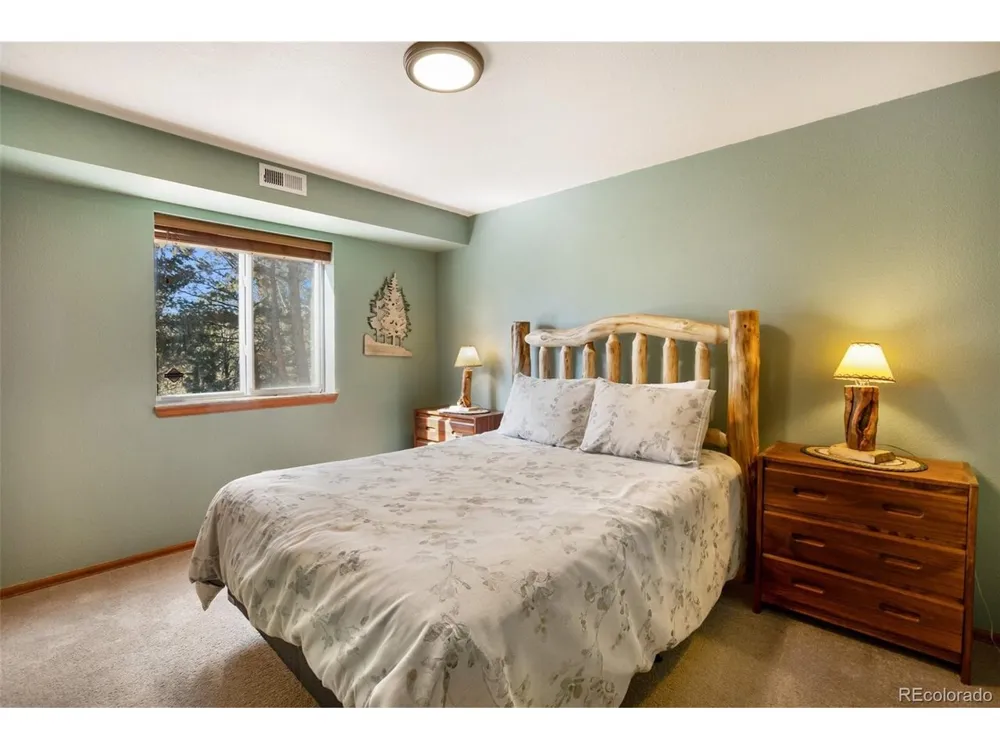 493 Horseshoe Drive Divide, CO 80814
