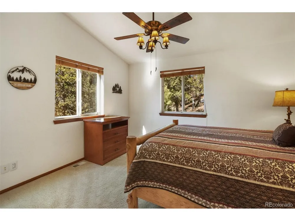 493 Horseshoe Drive Divide, CO 80814