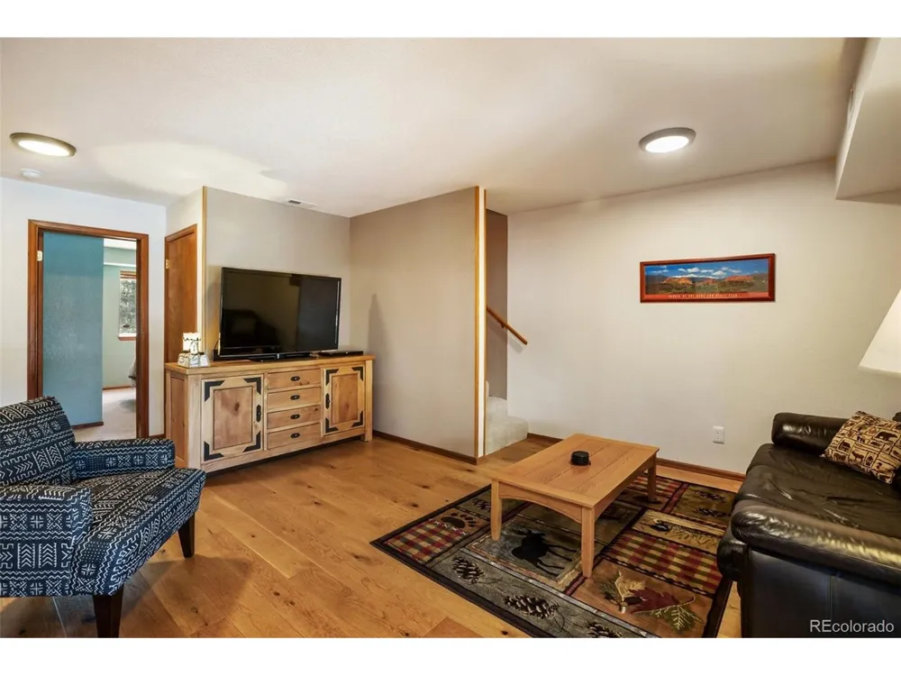 493 Horseshoe Drive Divide, CO 80814