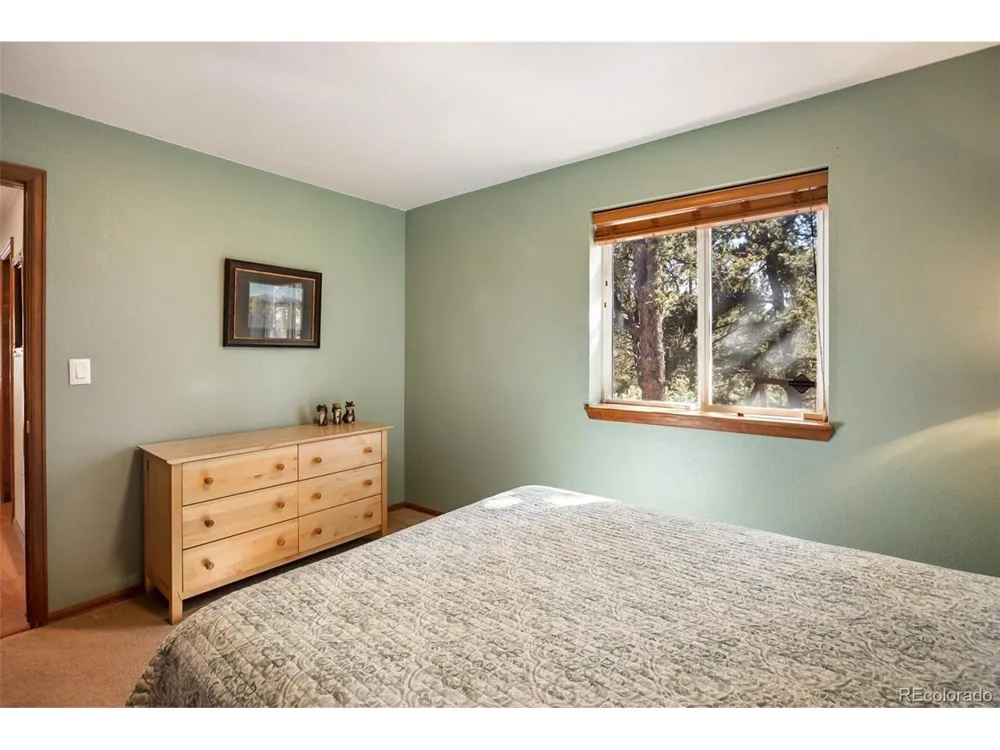 493 Horseshoe Drive Divide, CO 80814