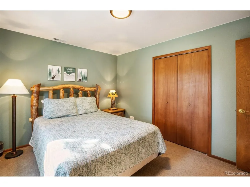 493 Horseshoe Drive Divide, CO 80814