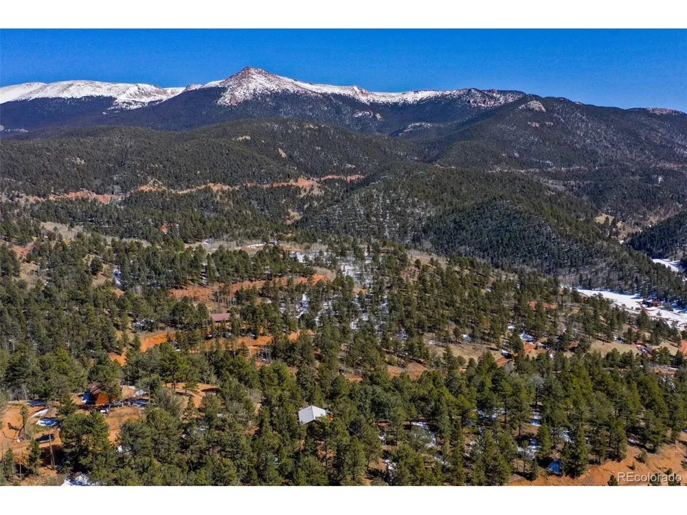 493 Horseshoe Drive Divide, CO 80814