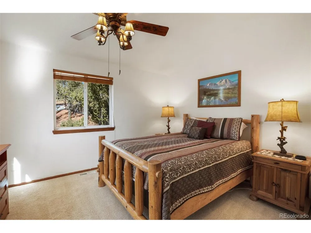 493 Horseshoe Drive Divide, CO 80814