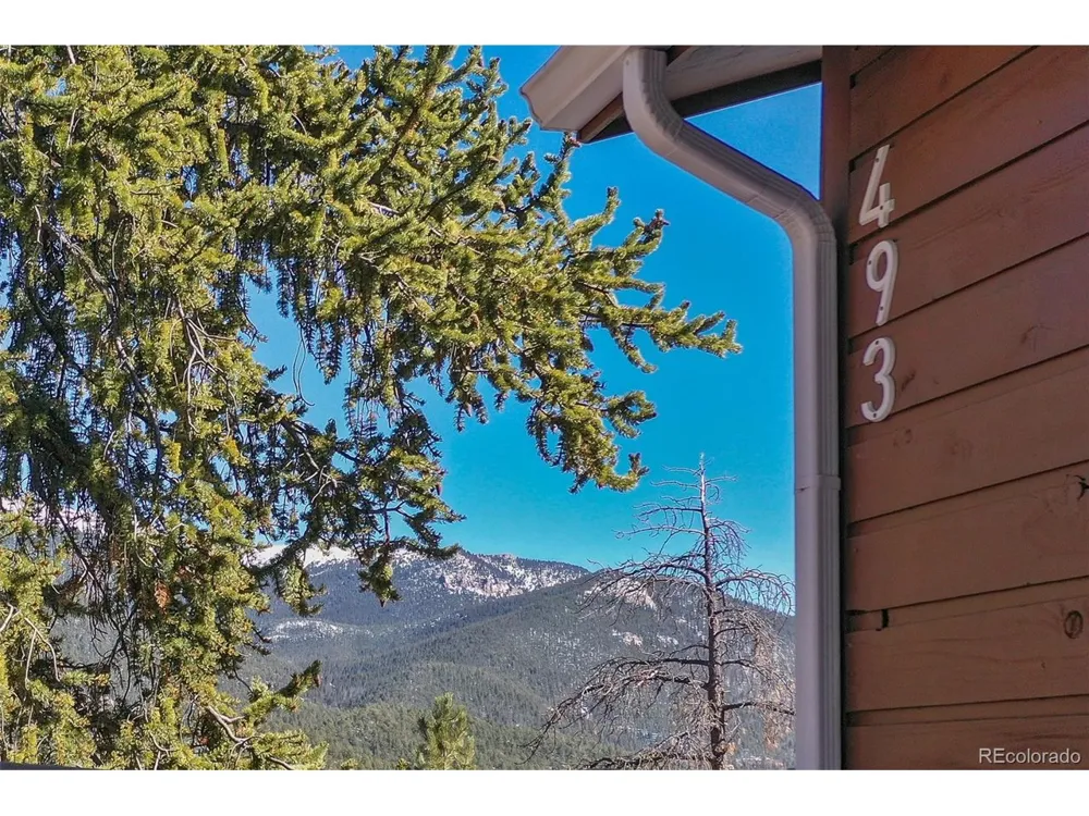 493 Horseshoe Drive Divide, CO 80814