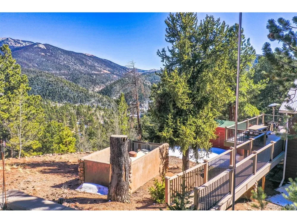 493 Horseshoe Drive Divide, CO 80814