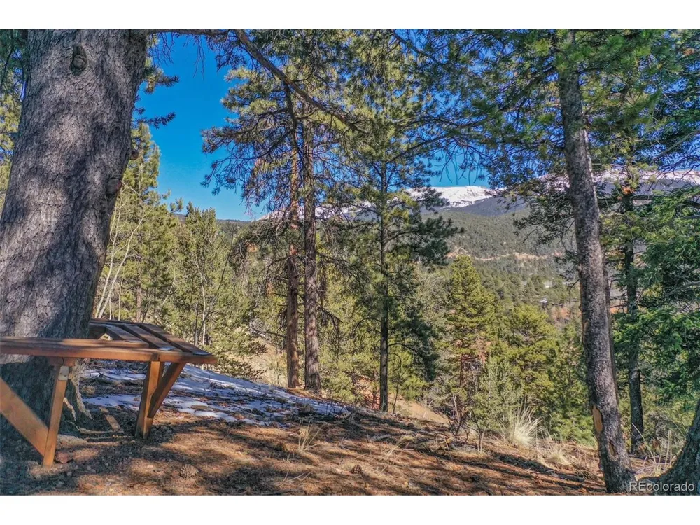493 Horseshoe Drive Divide, CO 80814