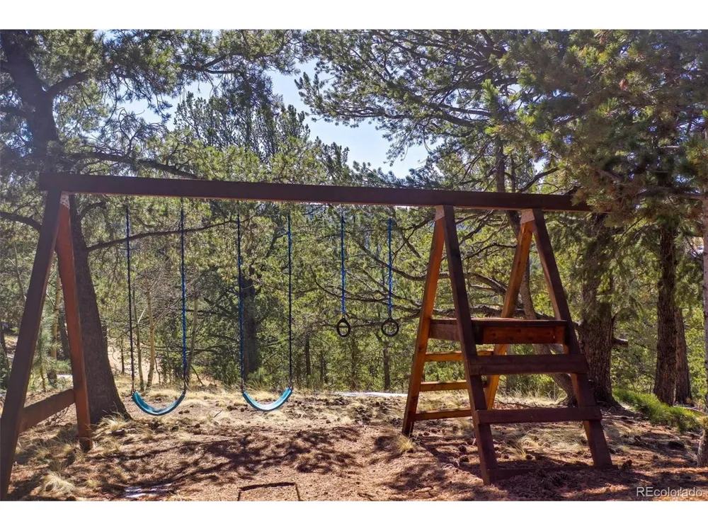 493 Horseshoe Drive Divide, CO 80814