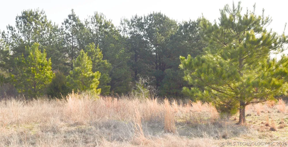 1 NW 4th Street Antlers, OK 74523