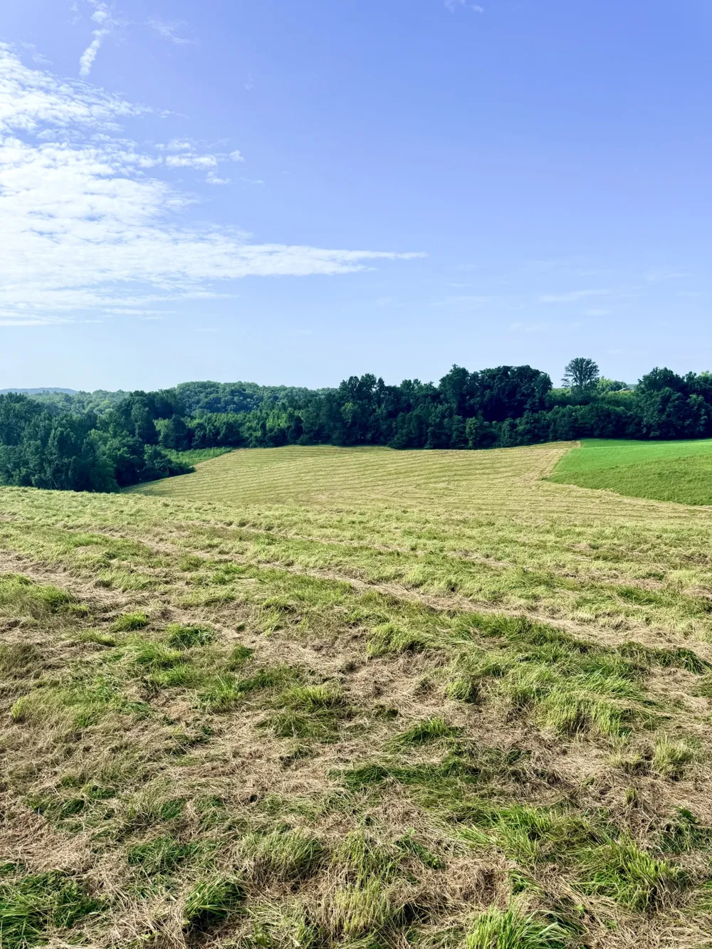 0 Allen Bend Rd Smithville, TN 37166