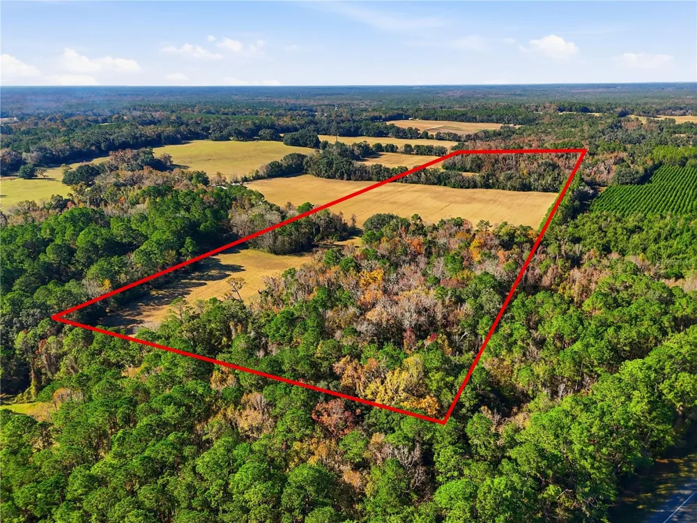 OLD BELLAMY RD High Springs, FL 32643