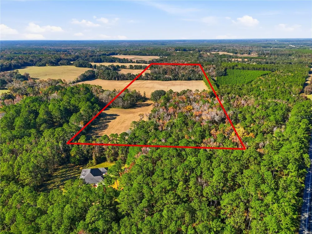 OLD BELLAMY RD High Springs, FL 32643