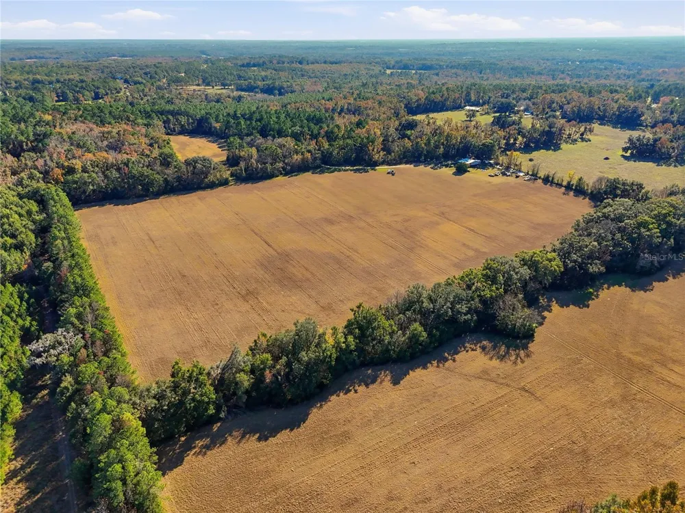 OLD BELLAMY RD High Springs, FL 32643