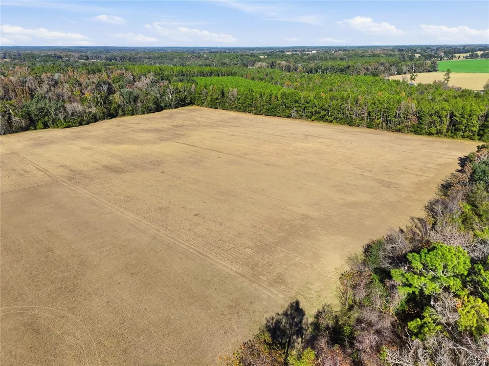 OLD BELLAMY RD High Springs, FL 32643